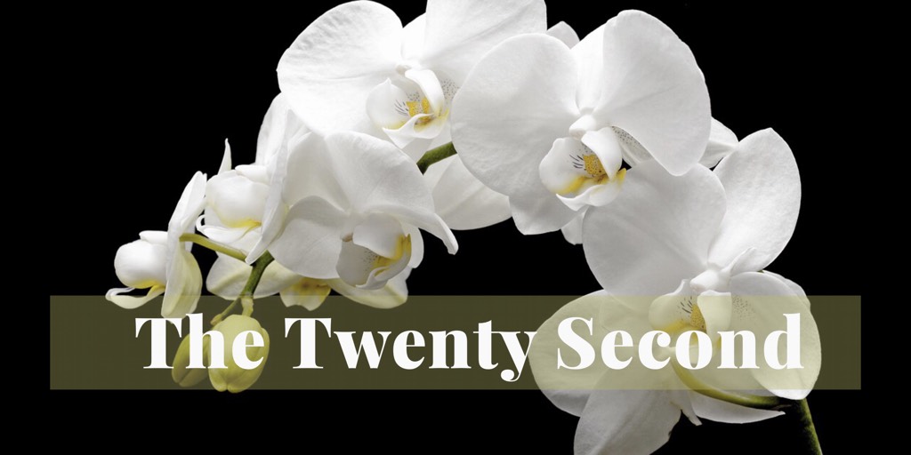 The Twenty-Second