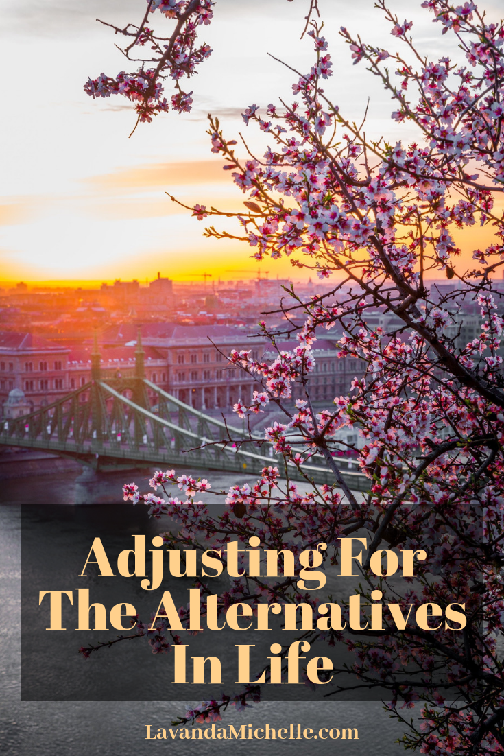 Adjusting For The Alternatives In Life