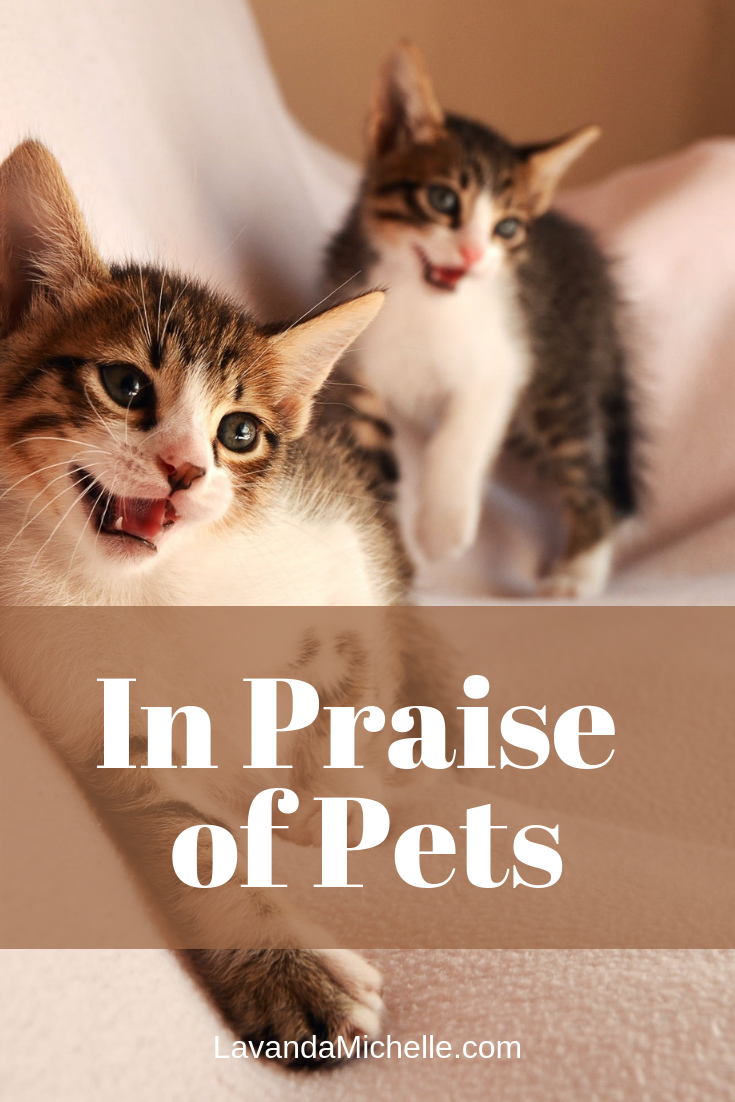 In Praise of Pets
