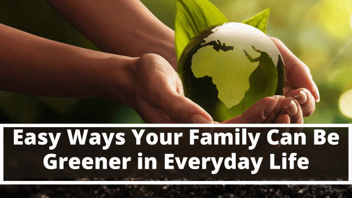 Easy Ways Your Family Can Be Greener in Everyday Life