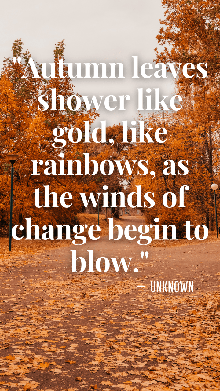 25 Quotes to Make You Fall in Love With Autumn LavandaMichelle