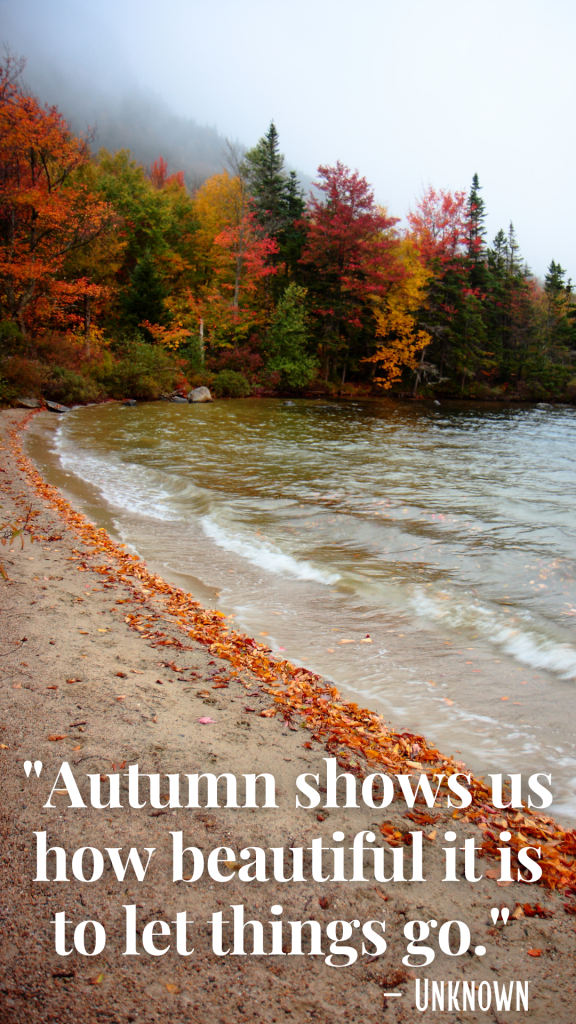 25 Quotes to Make You Fall in Love Autumn