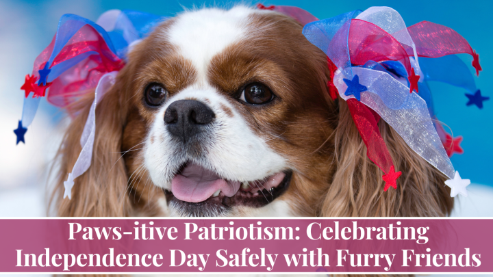 Paws-itive Patriotism: Celebrating Independence Day Safely with Furry Friends