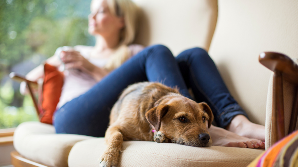 self-care importance