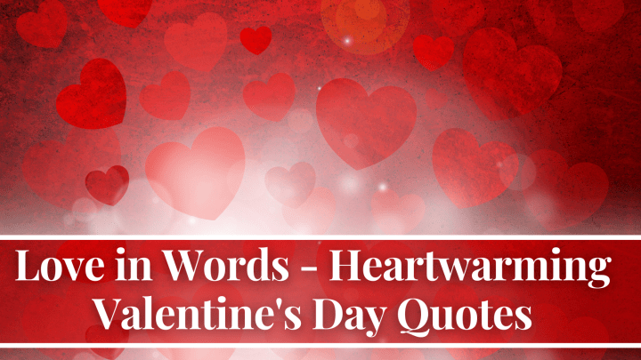 Valentine's Day Quotes