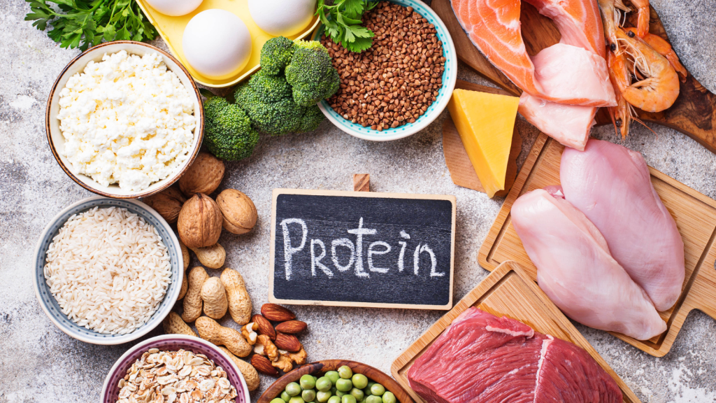 Role of Protein in Health