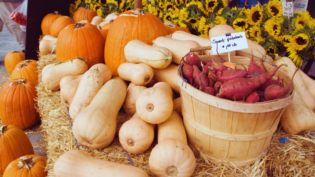 Seasonal Meal Prep Fall